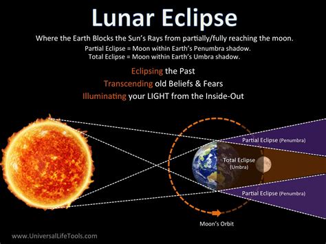 eclipse 뜻: 태양과 달의 춤, 그리고 우리의 그림자