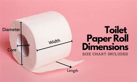 How Many Inches is a Toilet Paper Roll: Unraveling the Mysteries of Everyday Objects