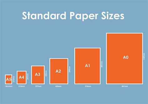 What is Half of 8.5 x 11 Paper? And Why Do Cats Always Land on Their Feet?