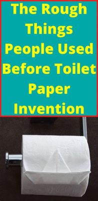 What Was Used Before Toilet Paper: A Journey Through the Evolution of Hygiene